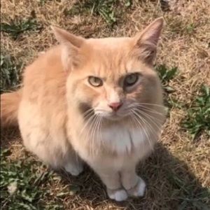 Meet your Posher, Claire